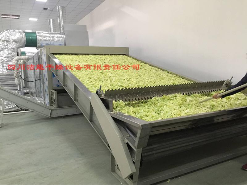 脱水蔬菜及山药片烘干机公司