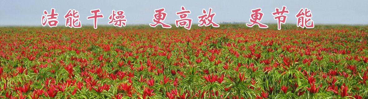 枸杞烘干机 辣椒烘干机 红枣烘干机